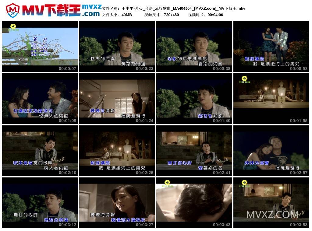 王中平-苦心_台语_流行歌曲_MA404504